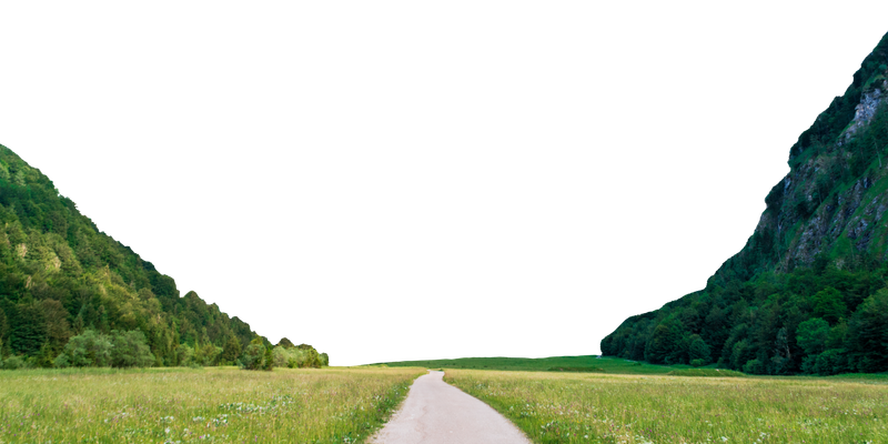 Banner Background